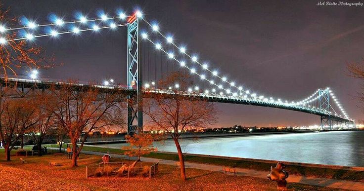 the bridge is lit up at night with lights on it's sides and trees in the foreground