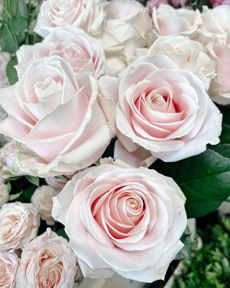 a bouquet of white and pink roses with green leaves