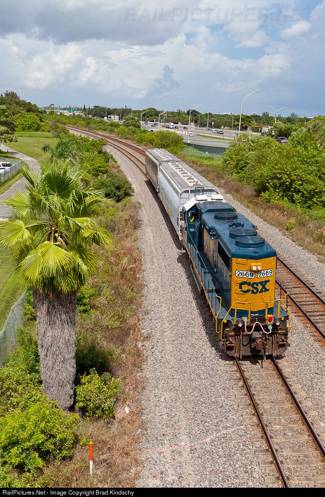 a blue and yellow train traveling down tracks next to palm trees on the side of a road