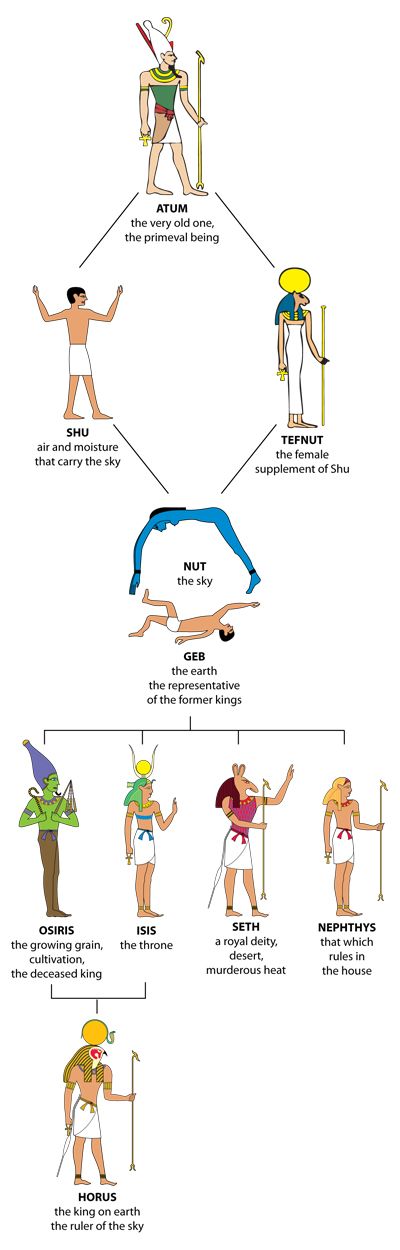 a diagram showing the different types of people doing yoga