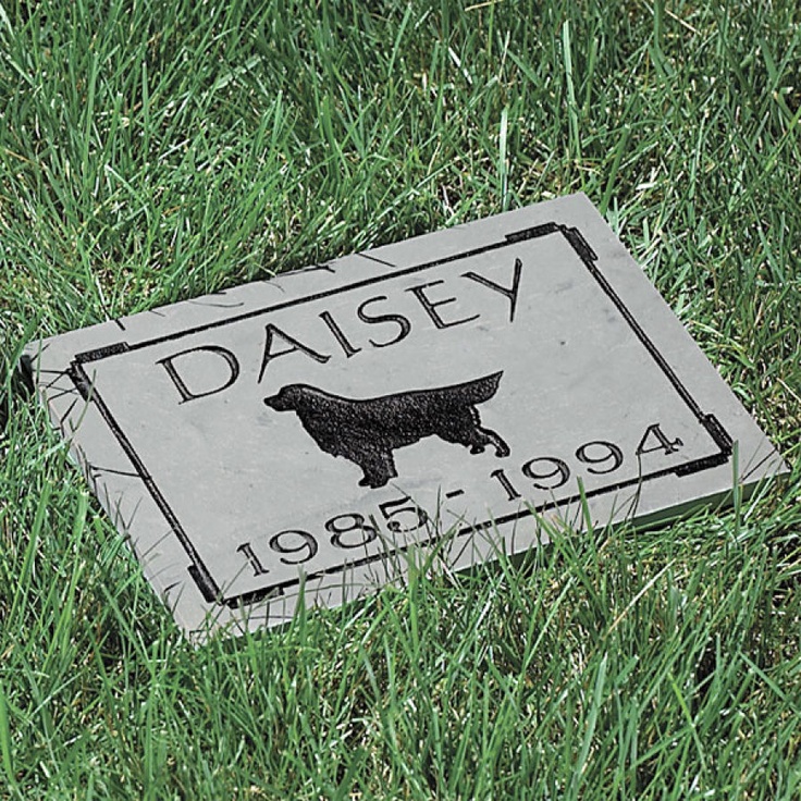 there is a plaque on the grass that says daisy and has a dog in it