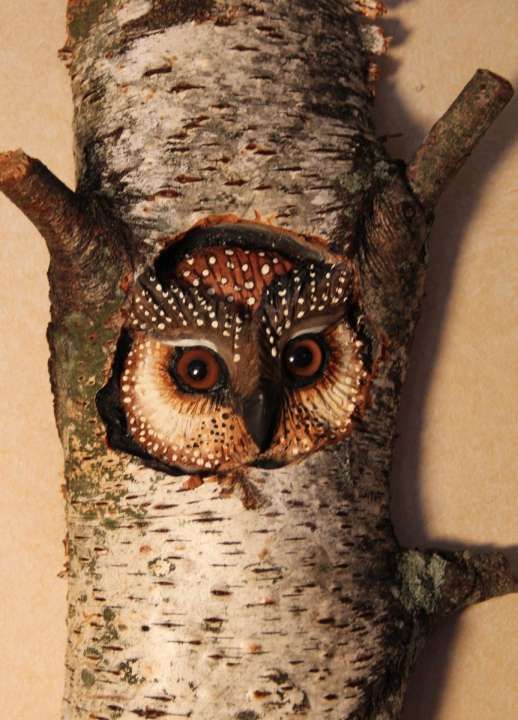 an owl is sitting on the branch of a tree