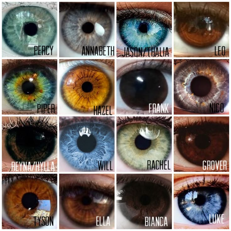 PJO/HoO eyes | Eye color chart, Rare eye colors, Beautiful eyes color