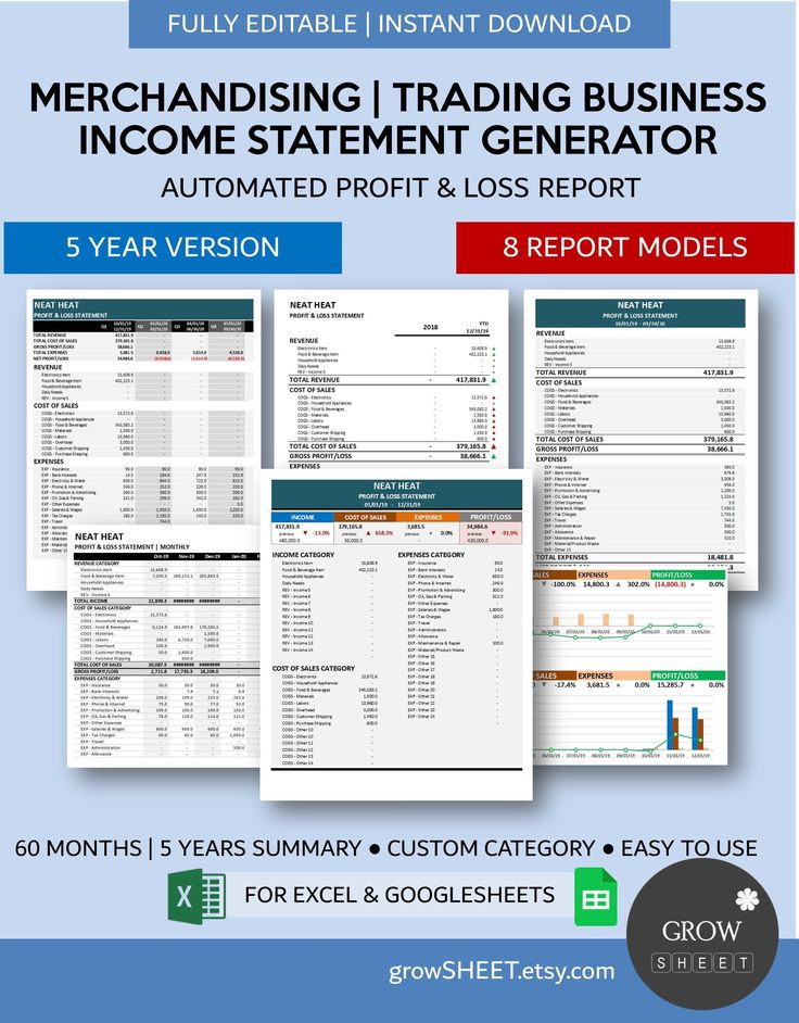 Merchandising Business Income Statement Generator Store - Etsy in 2022 ...