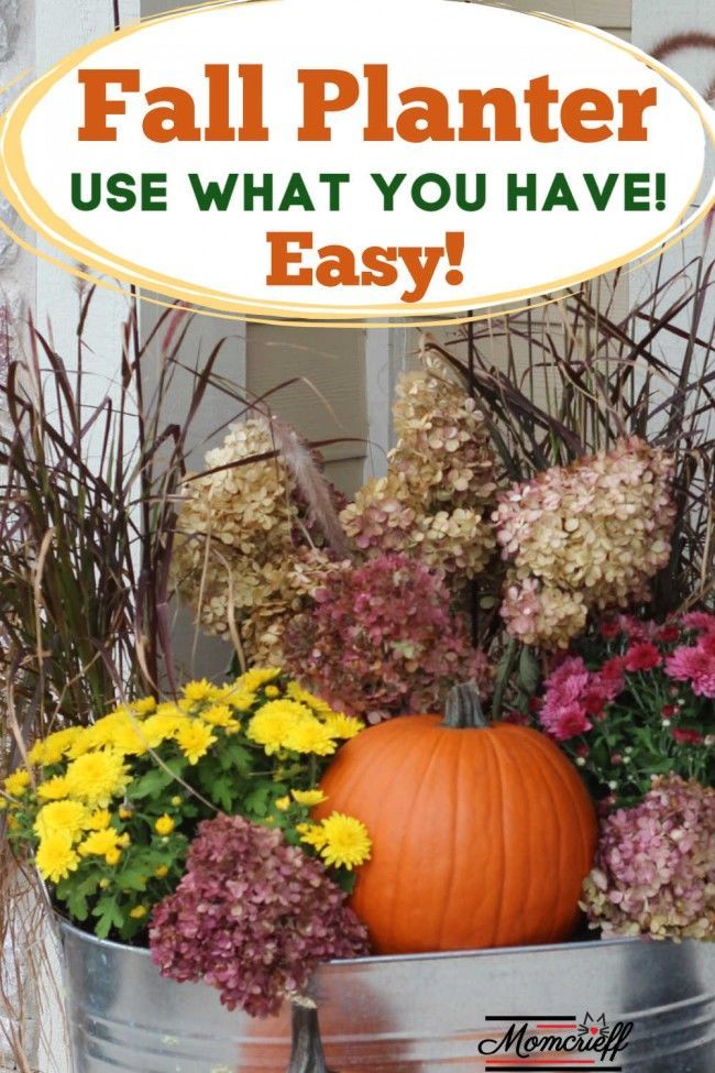 Pretty fall planter. Use the grasses you planted in the spring, add ...