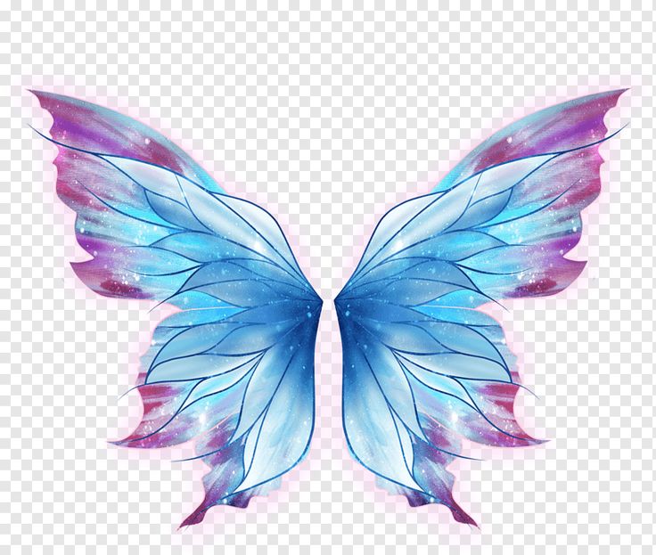 a blue and pink butterfly wings on a white background