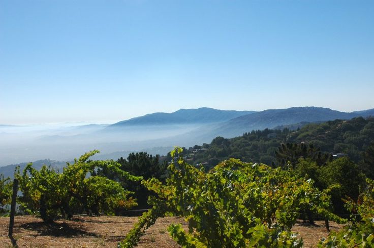 the mountains are covered in fog and clouds as seen from an area with many trees