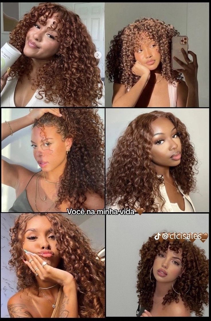 Mixed Ginger Hair, Maple Brown Hair Color Curly Hair, Curly Hair Esthetics, Honey Brunette Curly Hair, Color For Curly Hair Ideas, Black Women Light Brown Hair, 3c Hair Color Ideas, Curly Chestnut Hair, Hair Dyes For Curly Hair