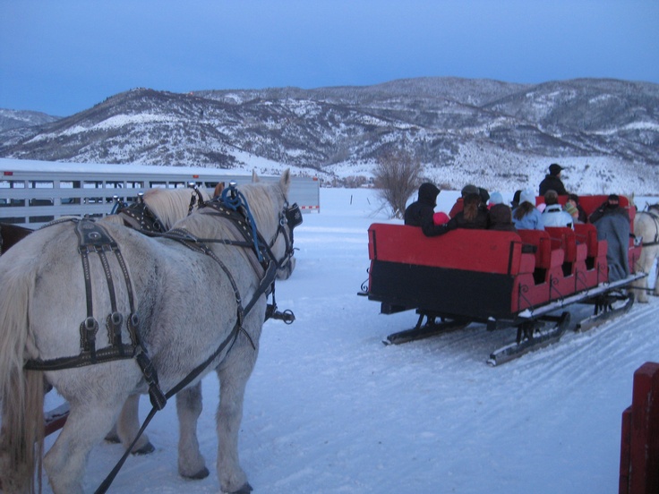 a horse pulling a sleigh with people in it on the snow covered ground