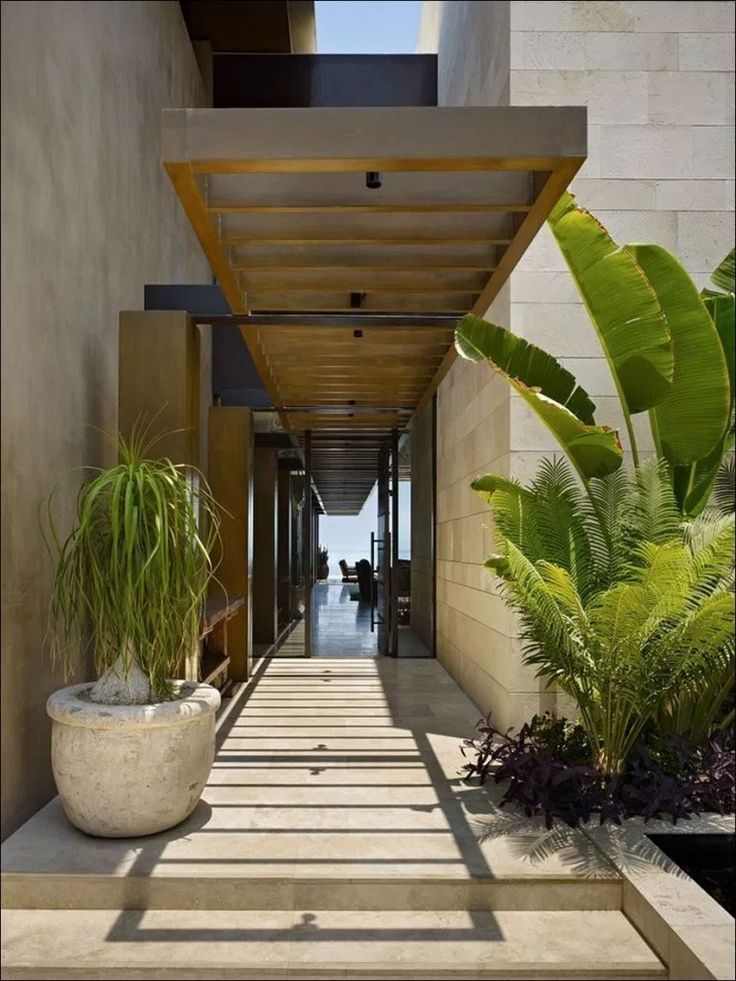 the walkway is lined with potted plants on either side of the entrance to the building