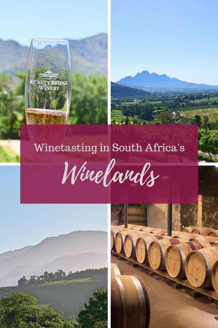 wine tasting in south africa's winelands is one of the best things to do