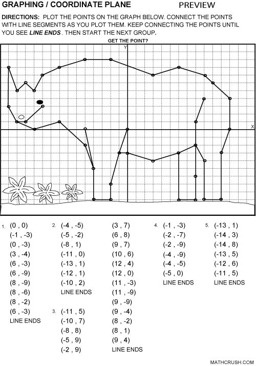 the graphing coordinate diagram for an animal