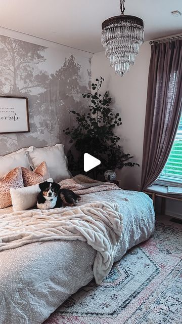 a dog laying on top of a bed in a room with a chandelier