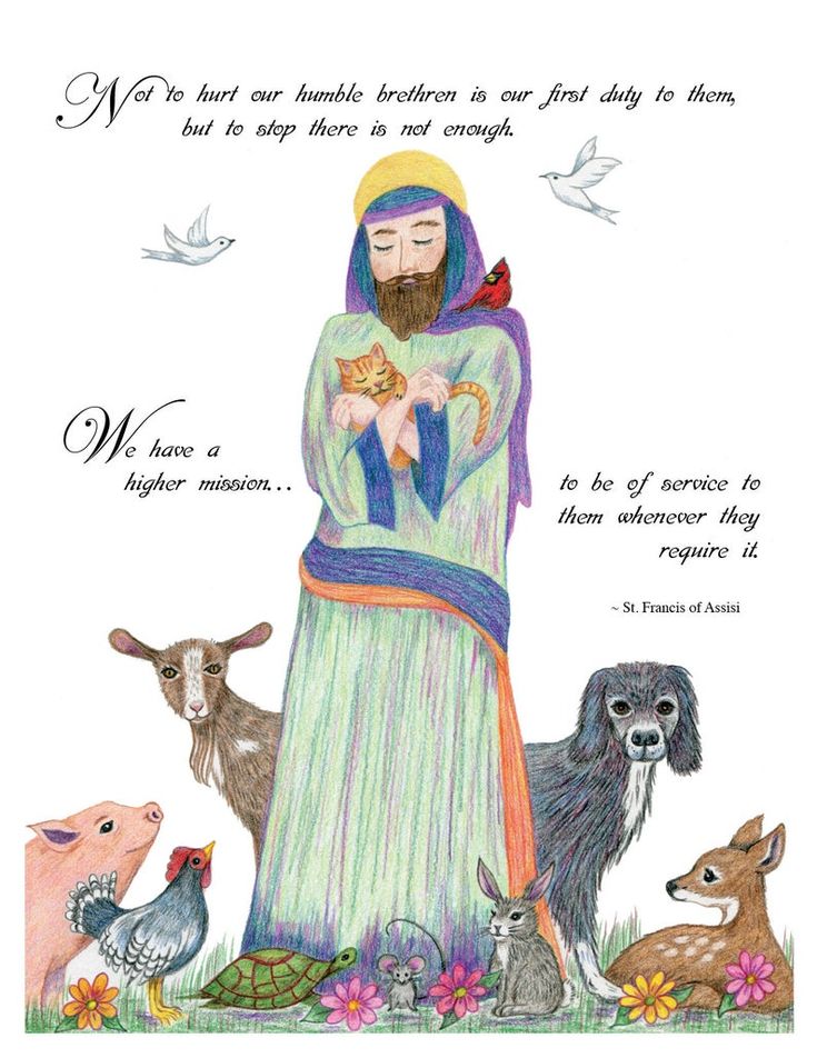 an image of jesus with animals and birds