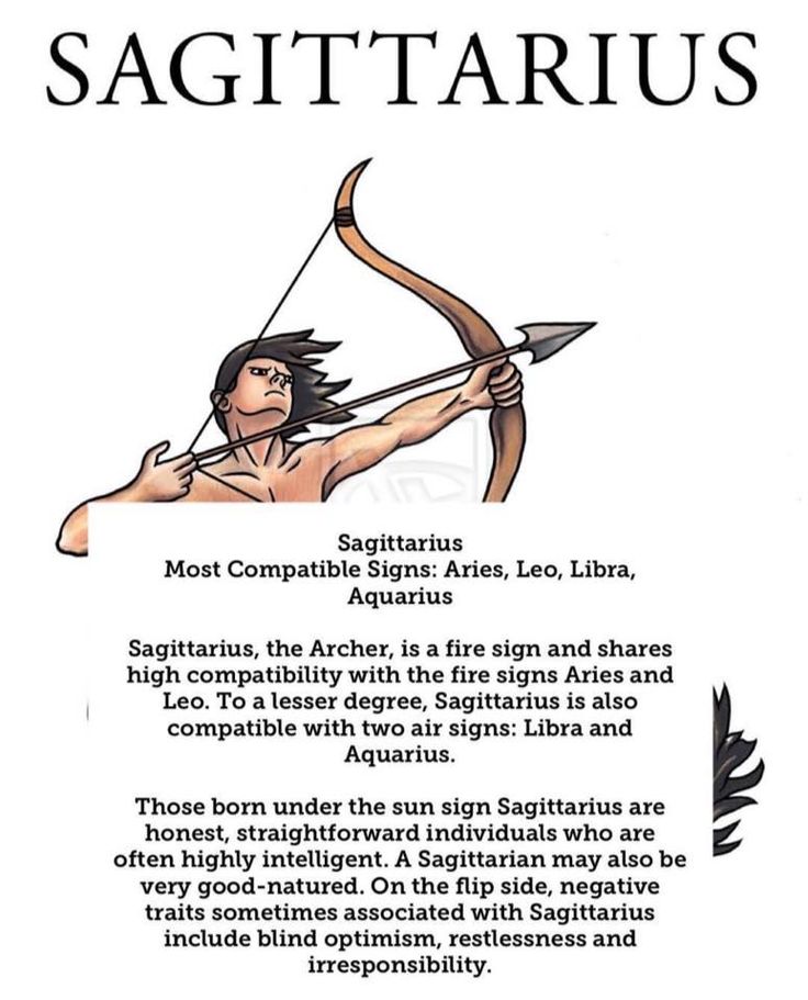 the sagittarus zodiac sign with an arrow and bow on it's back