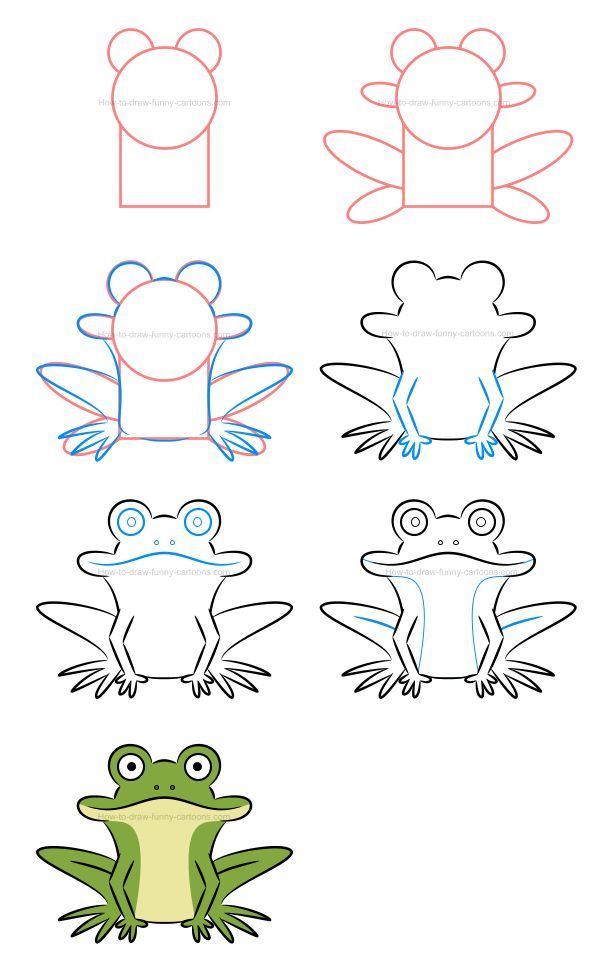 How #to #draw #a #frog #and #sketch #various #postures. in 2020 (With ...