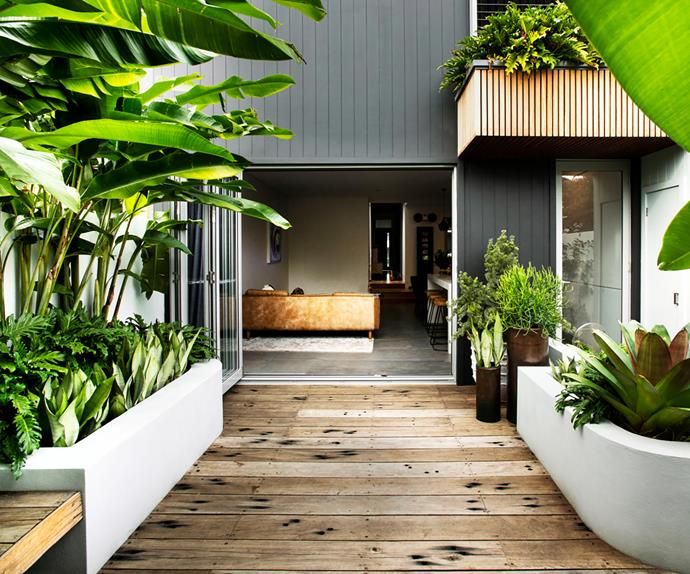 an outdoor area with plants and potted plants on the side of the house, along with a wooden deck