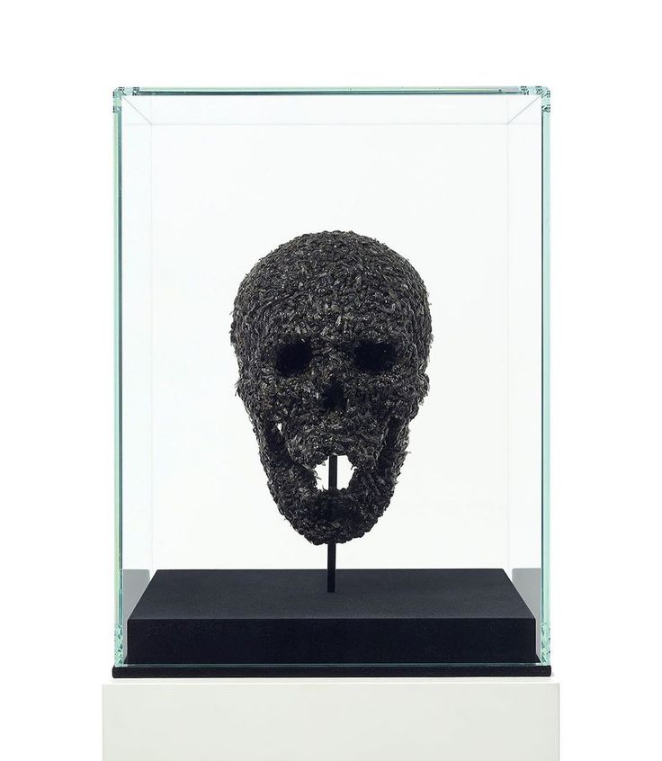 a black skull in a glass case with a white base on the bottom and side