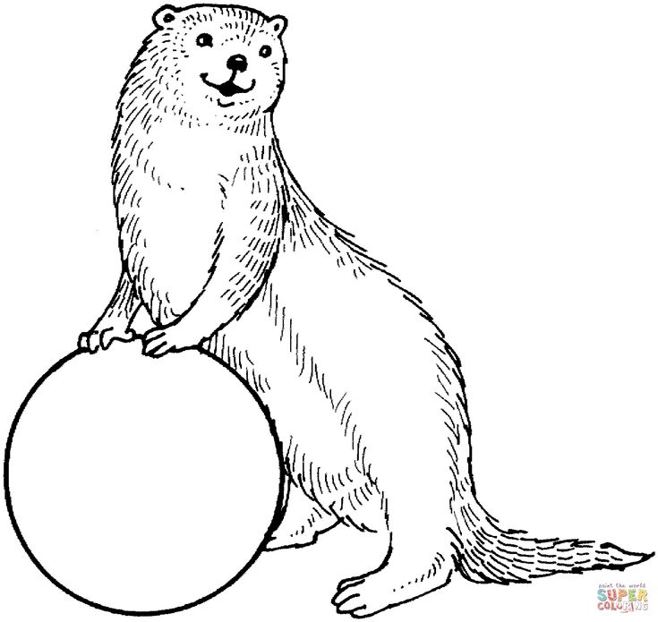 an otter is sitting on top of a ball coloring pages for adults and kids,