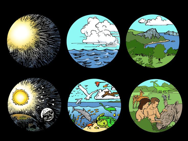 four circular pictures with different types of animals and birds in them, all on black background