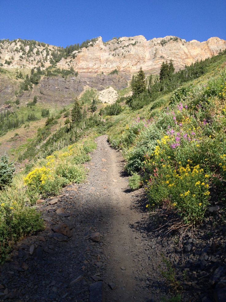 a dirt path leading to a mountain with wildflowers