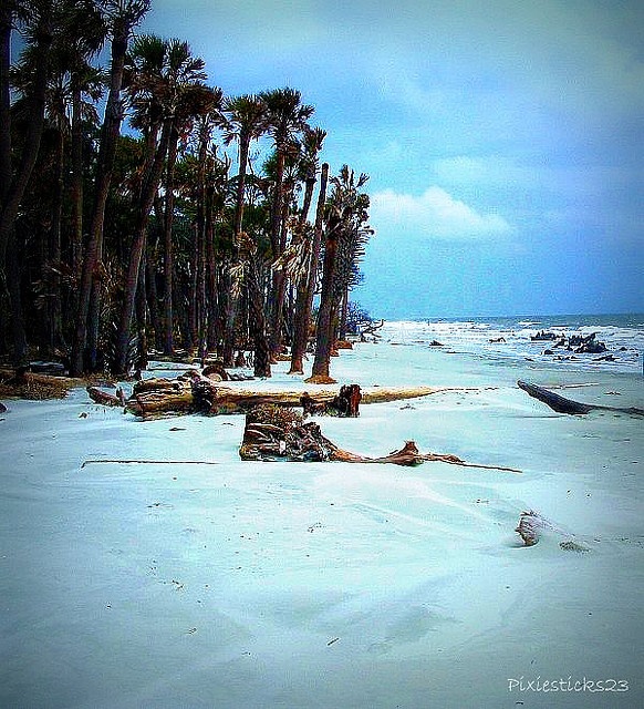 the beach is covered in white sand and palm trees