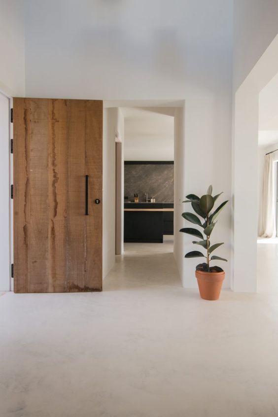 a plant in a pot sitting on the floor next to a wooden door and window