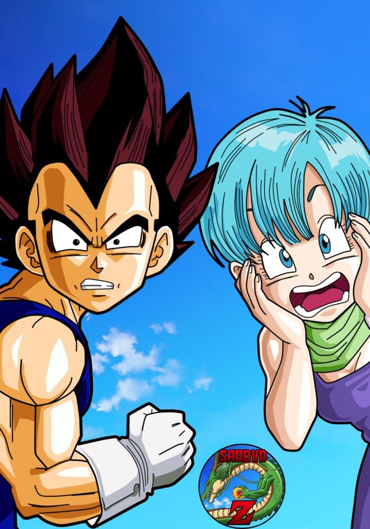 Vegeta Y Bulma Wtf By Saodvd Vegeta Y Bulma Goku Y Bulma Personajes ...