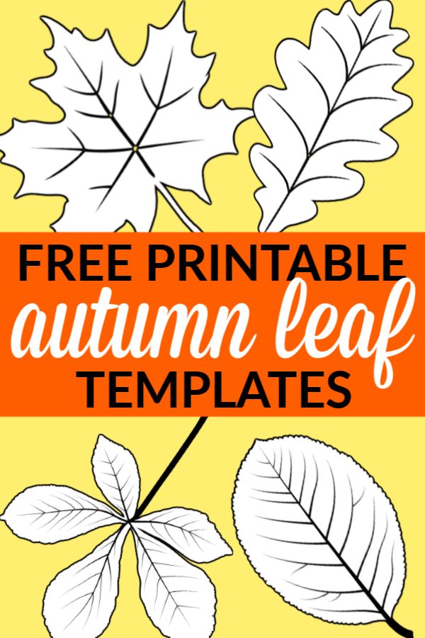 Fall Leaf Template Free Printable