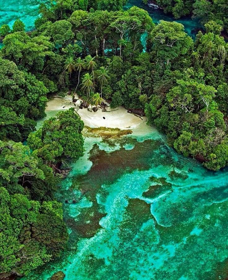 an aerial view of the blue water and green trees in the tropical island area, with white sand on the shore