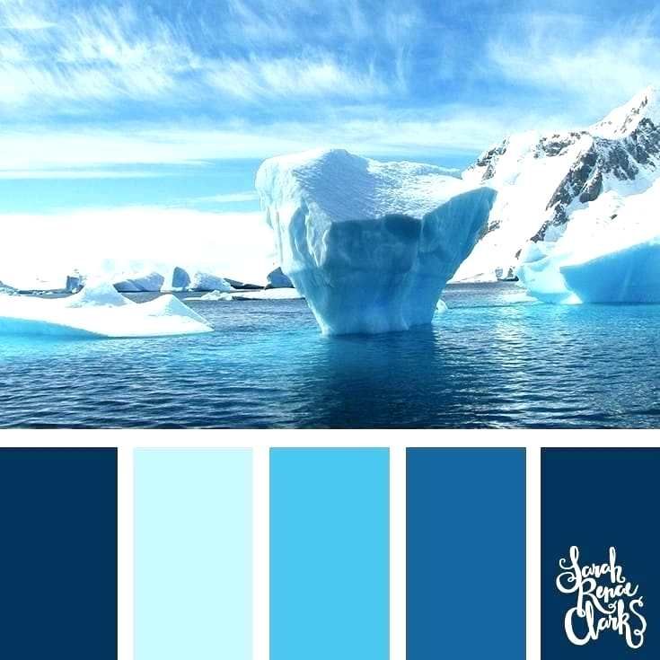 amazing cool color palette color palette inspiration