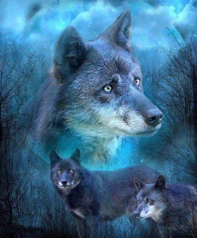 Pin by Kathi Bethel on AQUA AND TURQUOISE AND TEAL | Wolf art print ...