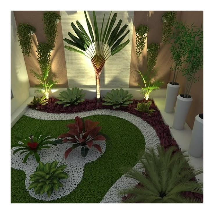 a garden with grass and plants in it