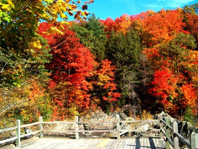 a wooden bridge surrounded by colorful trees