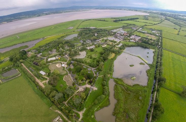 an aerial view of a large green field with lots of water and land around it