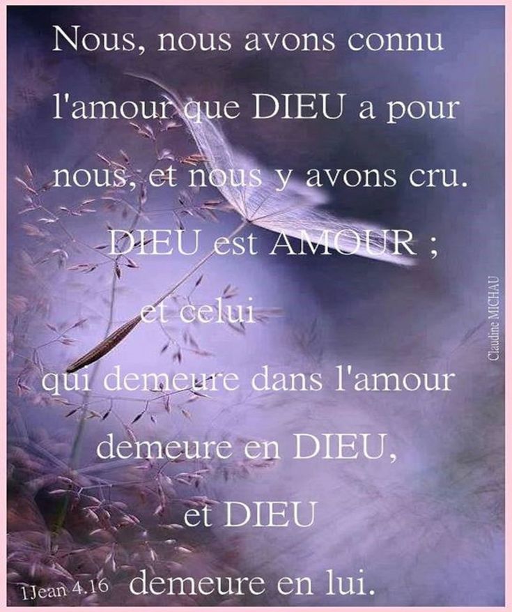 the words are written in french and english on a purple background with an image of a bird