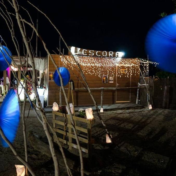 blue lanterns are hanging from the branches of a tree in front of a building with lights on it