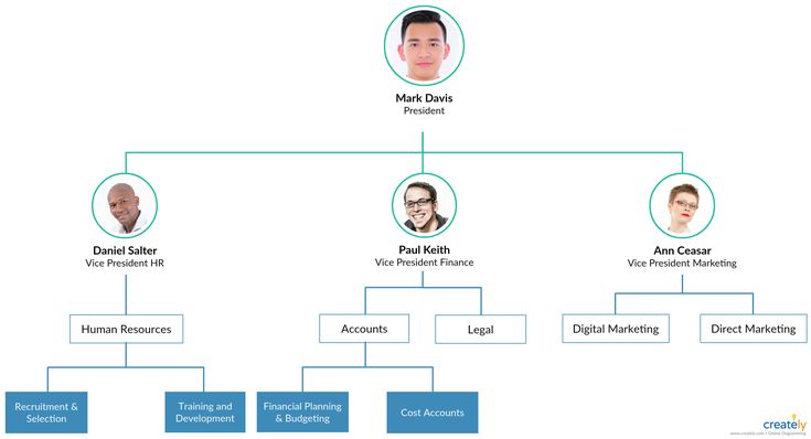 Astrid Company Structure [classic] | Organization chart, Organization ...