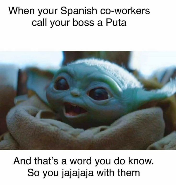 Yoda Meme, Yoda Wallpaper, Yoda Funny, Workplace Humor, Travel Free, Laughing Quotes, Work Memes, Funny As Hell, Star Wars Memes