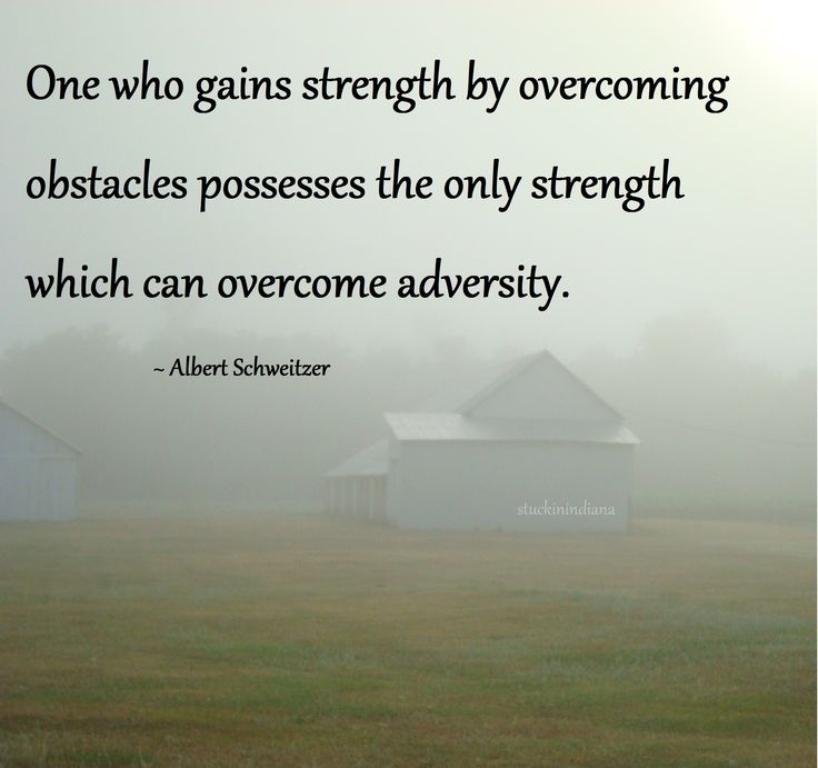 a foggy field with two barns in the distance and a quote from albert schweizer