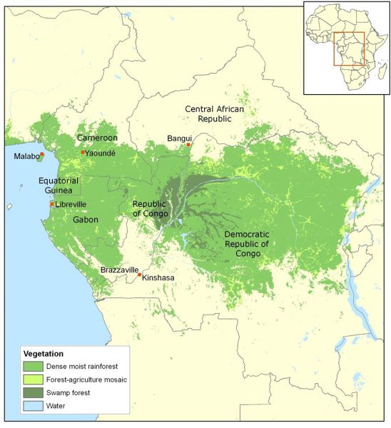 a map showing the location of different vegetation in africa