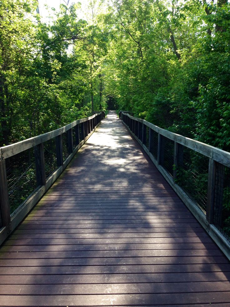 a wooden bridge surrounded by lots of trees