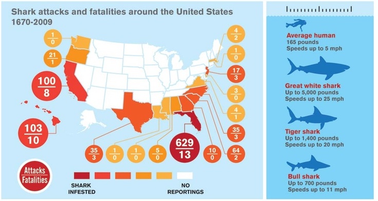 shark attacks and fatals around the united states infographical graphic ...