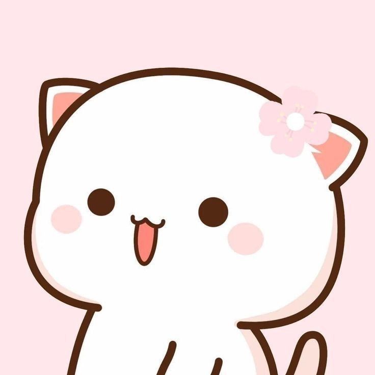 Cute Mochi Cats 💛|| Cute Wallpapers Mochi Cats, Cute Merch, Cute Mochi, Peach And Goma, Mochi Cat, Peach Cat, Chibi Cat, Cute Bear Drawings, Hello Kitty Art