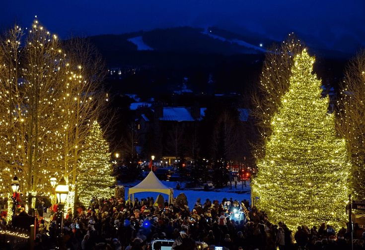 christmas trees are lit up at night in the snow with lights on them and people standing around