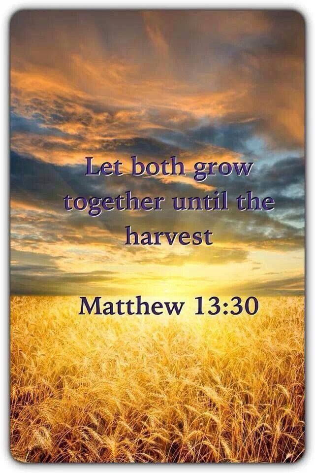 a field with the words let both grow together until the harvest