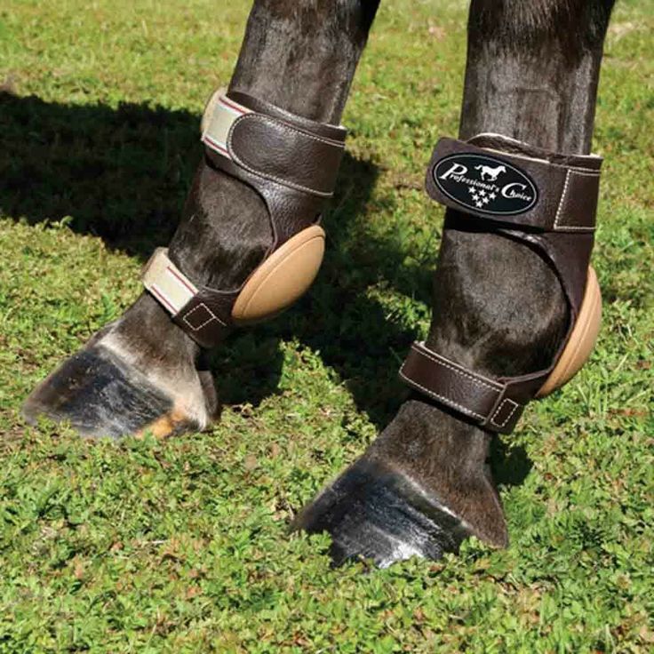 the legs and feet of a horse wearing bridles