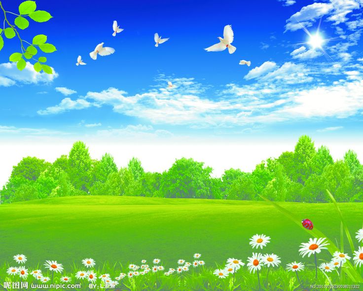 a field with flowers and butterflies in the sky