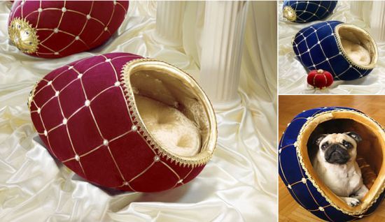 a pug dog is sitting in a red and blue cat bed with gold trim