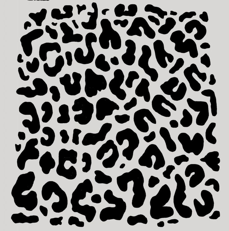 a black and white animal print on a gray background